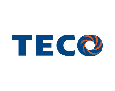 TECO Electric _ Machinery